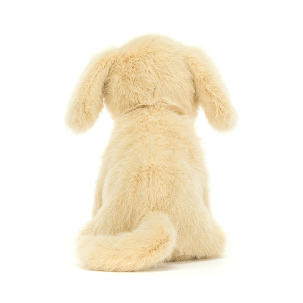Golden Puppy