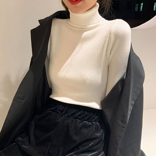 Ribbed Turtleneck Long Sleeve Sweater Top for Women - Sonia